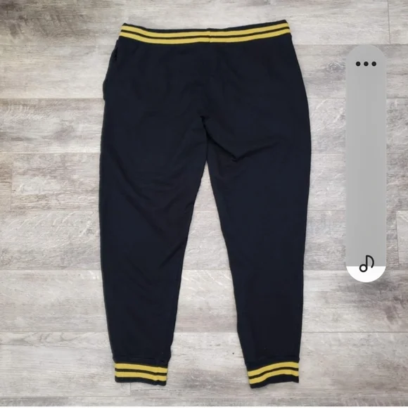 Harry Potter Hogwarts Alumni Joggers - Picture 3 of 14